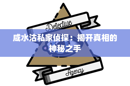 咸水沽私家侦探：揭开真相的神秘之手