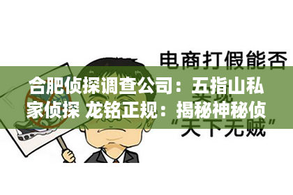 合肥侦探调查公司：五指山私家侦探 龙铭正规：揭秘神秘侦探背后的故事
