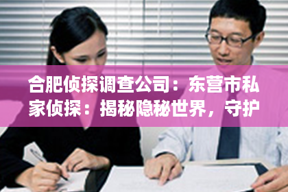 合肥侦探调查公司：东营市私家侦探：揭秘隐秘世界，守护你的权益