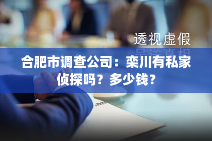 合肥市调查公司：栾川有私家侦探吗？多少钱？