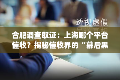 合肥调查取证:上海哪个平台催收?揭秘催收界的“幕后黑手” 合肥调查取证:上海哪个平台催收?揭秘催收界的“幕后黑手”