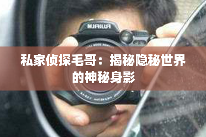 私家侦探毛哥：揭秘隐秘世界的神秘身影