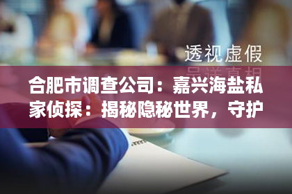 合肥市调查公司：嘉兴海盐私家侦探：揭秘隐秘世界，守护你的权益
