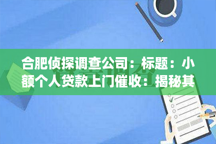 合肥侦探调查公司：标题：小额个人贷款上门催收：揭秘其中的法律与生活影响