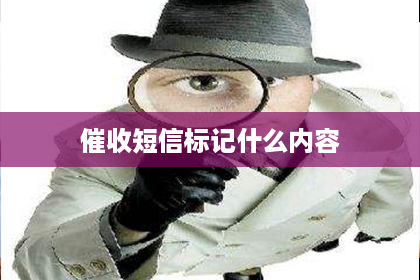 催收短信标记什么内容