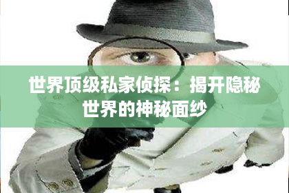 世界顶级私家侦探：揭开隐秘世界的神秘面纱