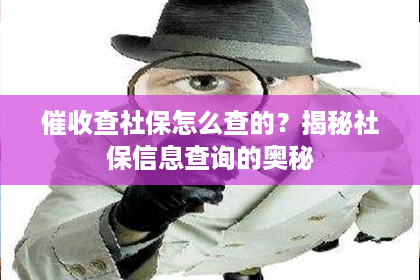 催收查社保怎么查的？揭秘社保信息查询的奥秘