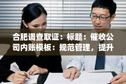 合肥调查取证：标题：催收公司内账模板：规范管理，提升效率