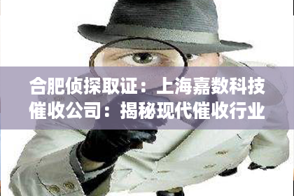 合肥侦探取证：上海嘉数科技催收公司：揭秘现代催收行业的“幕后英雄”