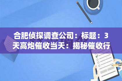 合肥侦探调查公司:标题:3天高炮催收当天:揭秘催收行业的“速度与激情” 合肥侦探调查公司:标题:3天高炮催收当天:揭秘催收行业的“速度与激情”