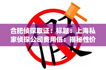 合肥侦探取证：标题：上海私家侦探公司费用低：揭秘性价比之选