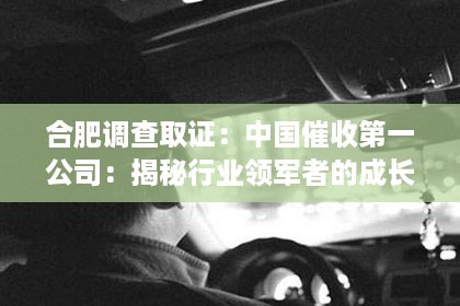 合肥调查取证：中国催收第一公司：揭秘行业领军者的成长之路