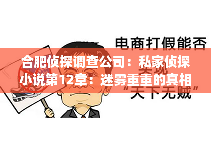 合肥侦探调查公司：私家侦探小说第12章：迷雾重重的真相边缘