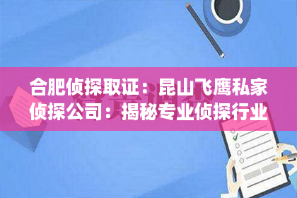 合肥侦探取证：昆山飞鹰私家侦探公司：揭秘专业侦探行业的秘密角落