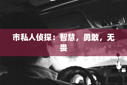 市私人侦探：智慧，勇敢，无畏