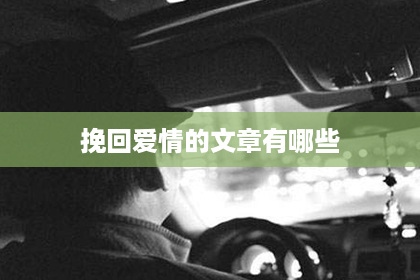 挽回爱情的文章有哪些