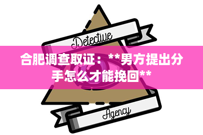 合肥调查取证：**男方提出分手怎么才能挽回**