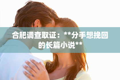 合肥调查取证：**分手想挽回的长篇小说**