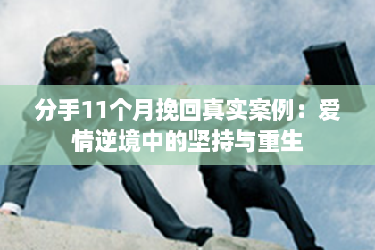 分手11个月挽回真实案例：爱情逆境中的坚持与重生