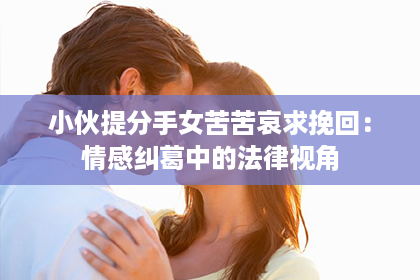 小伙提分手女苦苦哀求挽回：情感纠葛中的法律视角