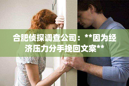 合肥侦探调查公司：**因为经济压力分手挽回文案**